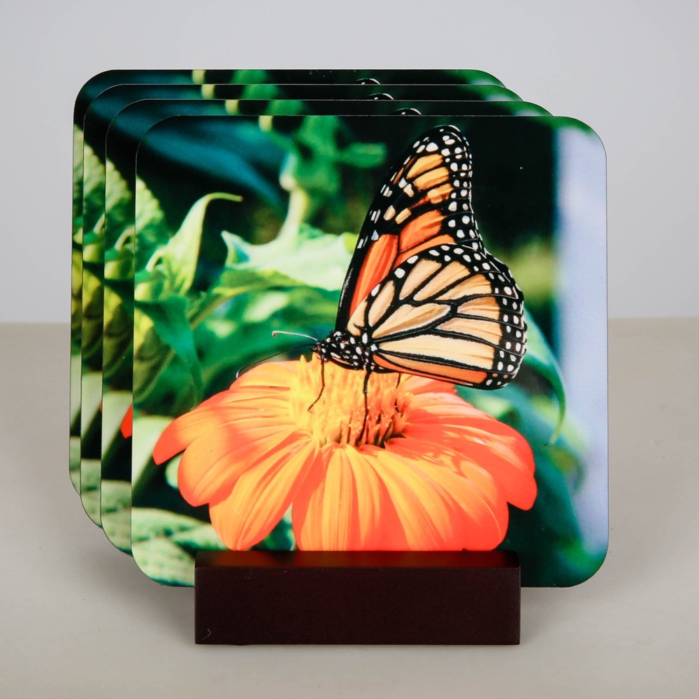 Butterfly coasters - set of 4!  New!
